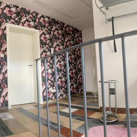 Erica Ferienwohnung Auf Dem Traumpfad Ettringen  Exteriör bild